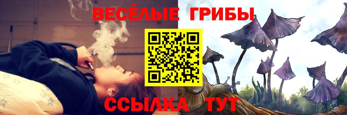 Можга  Галлюциногенные грибы MAGIC MUSHROOMS  наркошоп  Вход с VPN  Псилоцибиновые грибы Psilocybine cubensis 